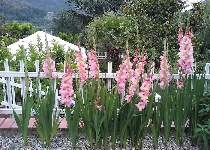 Claro De Luna Tovo San Giacomo