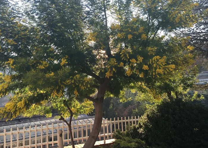 Bed & Breakfast Claro De Luna Tovo San Giacomo