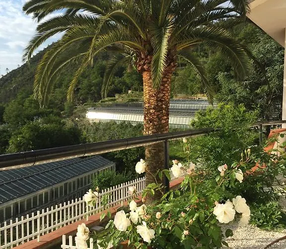 Bed & Breakfast Claro De Luna