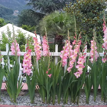 克拉罗卢纳住宿加早餐旅馆 Tovo San Giacomo