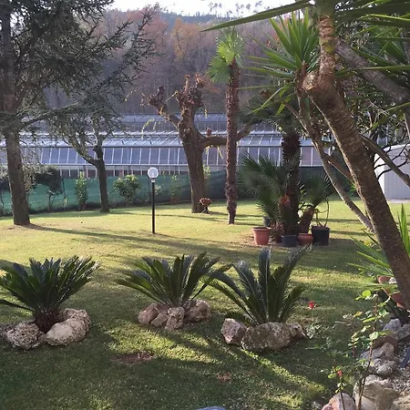 克拉罗卢纳住宿加早餐旅馆 3*