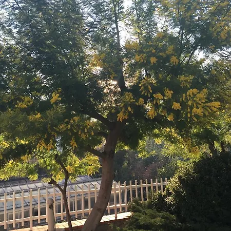 Bed and breakfast Claro De Luna Tovo San Giacomo