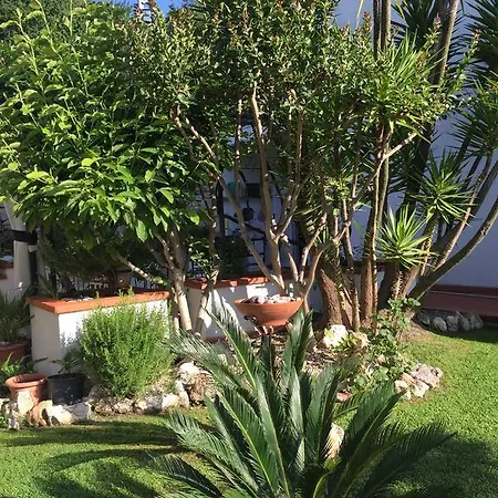 Claro De Luna Bed & Breakfast Tovo San Giacomo